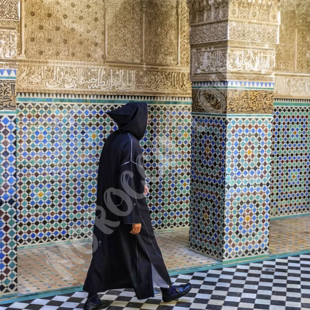 Terms and Conditions