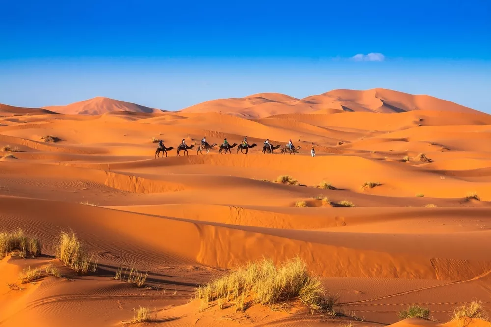 Merzouga Desert Morocco